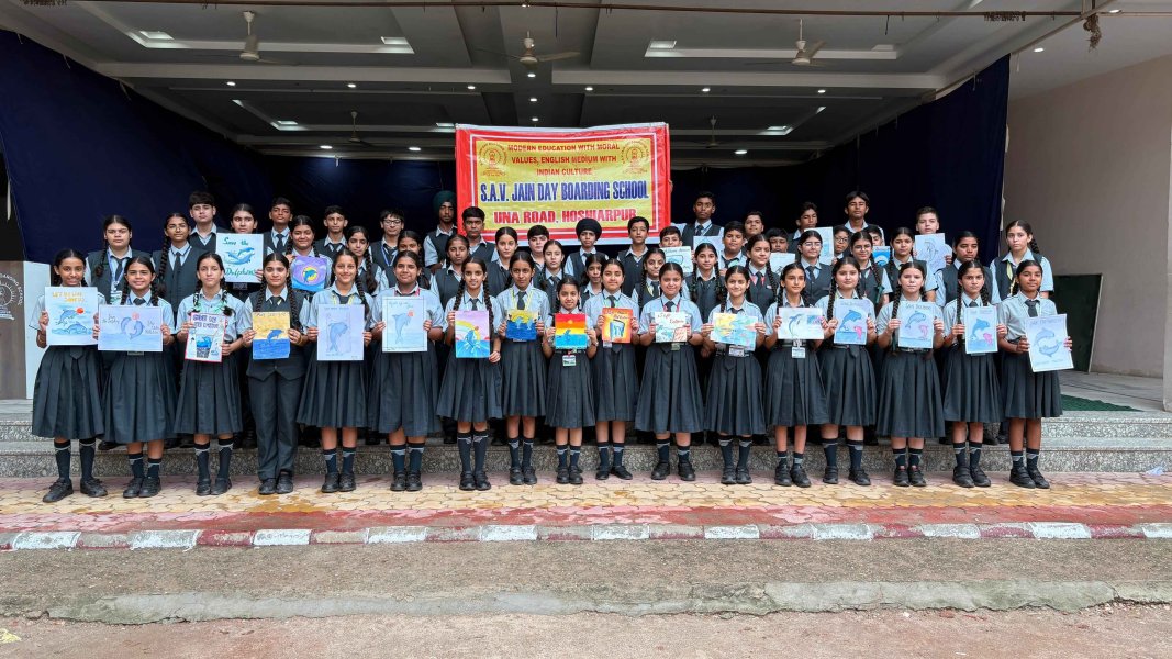 Dolphin Conservation Awareness Activity